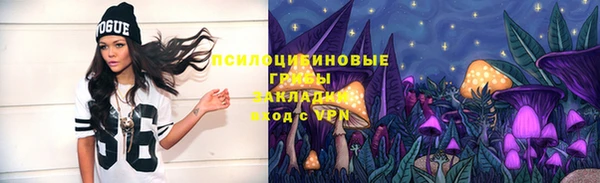 стафф Володарск